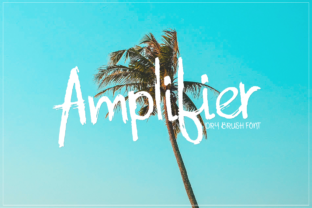 Amplifier: The Font That Elevates Your Brand’s Visual Voice