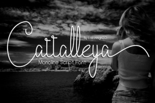 Cattalleya: A Versatile Script Font for Editorial Design