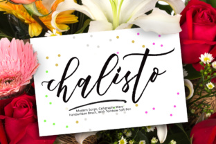 Chalisto: A Font That Breathes Life Into Your Craft
