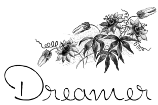 Font Choice That Speaks Volumes: Dreamer in Action