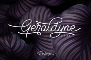 Geraldyne: The Perfect Font for Elevating Your Brand